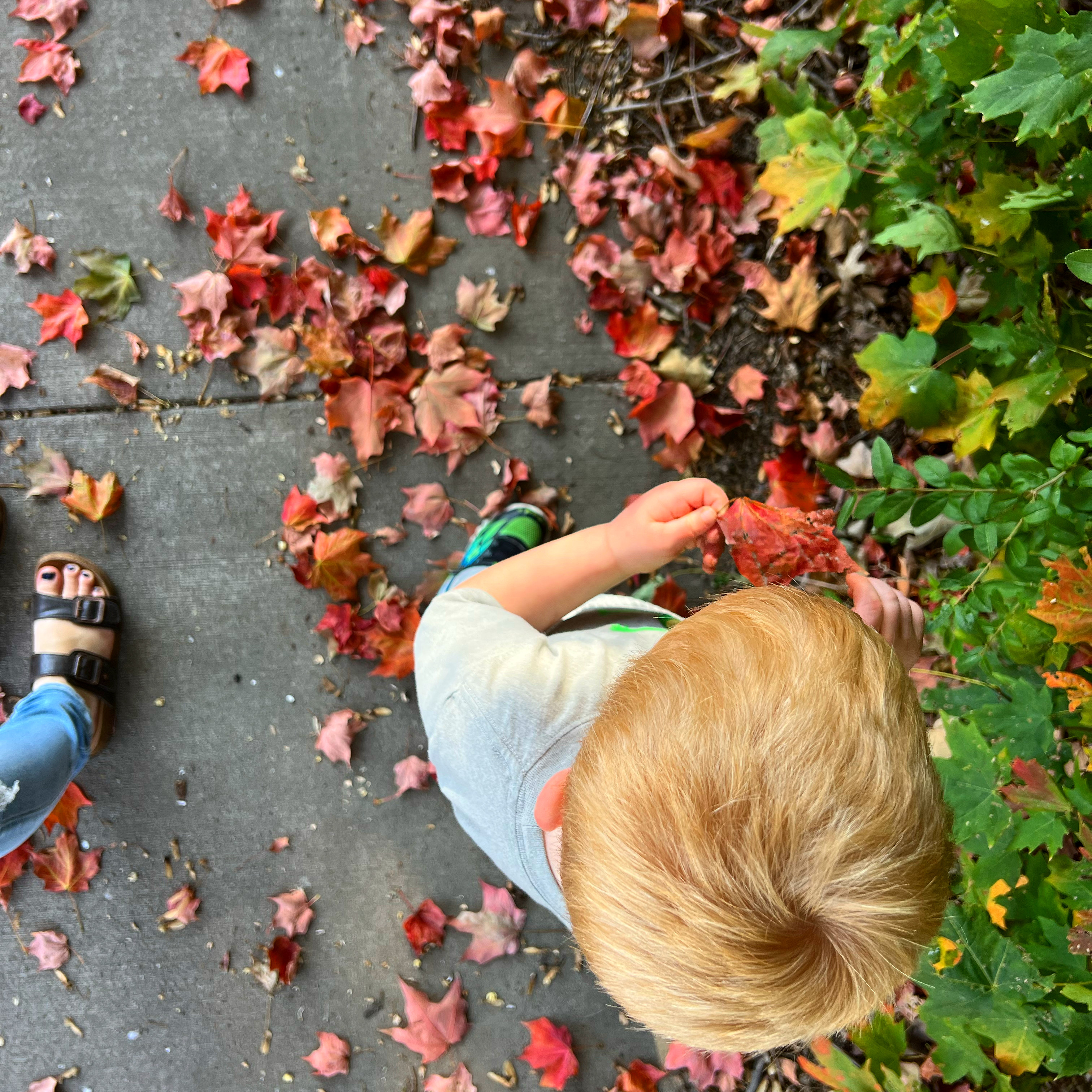 Creative Energy in Autumn